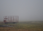 DSC 0960