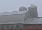 DSC 0974