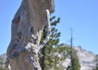 desolation wilderness03