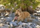desolation wilderness11