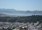 DSC 0111