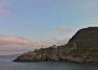 Newfoundland