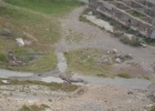 DSC 0385