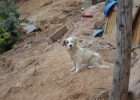 peru town 16