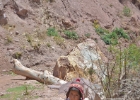 peru trail 04