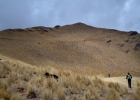 peru trail 20