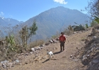 peru trail 50