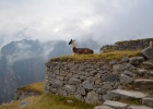 peru machu 02